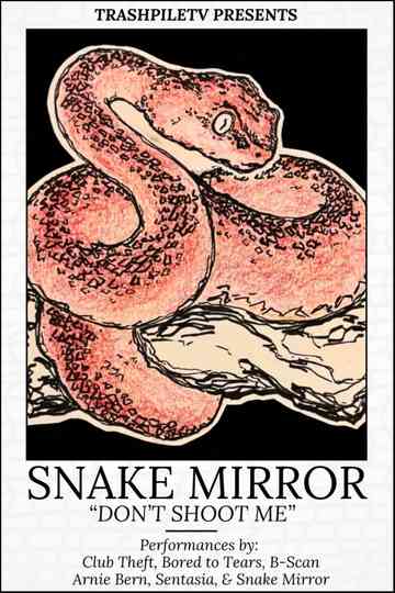 Don't Shoot Me: The Snake Mirror Weekend Tour Poster