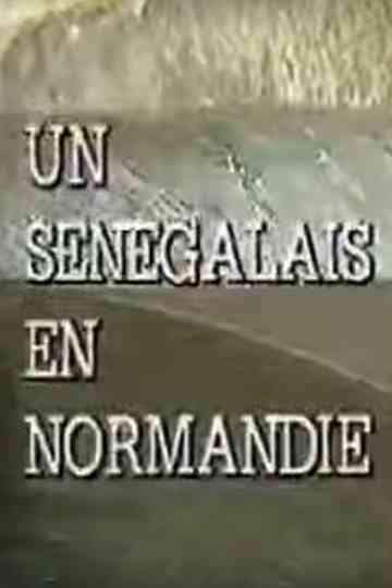 A Senegalese Man in Normandy