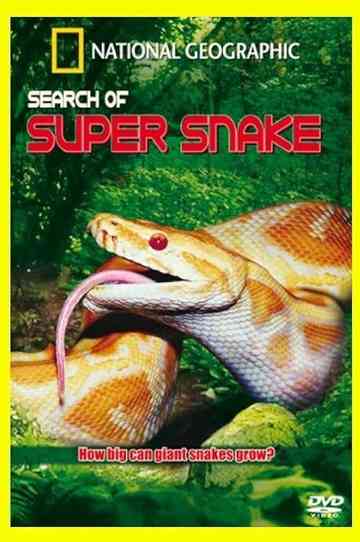 Search For the Supersnake
