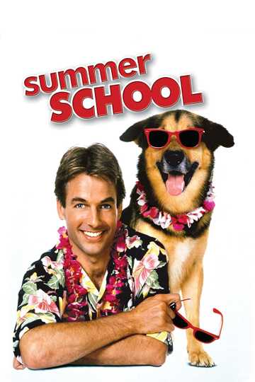 Summer School Poster