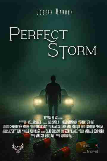 Perfect Storm Poster