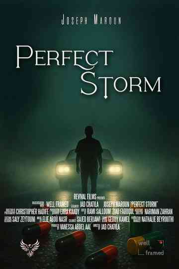 Perfect Storm