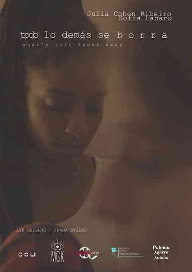 What's Left Fades Away Poster