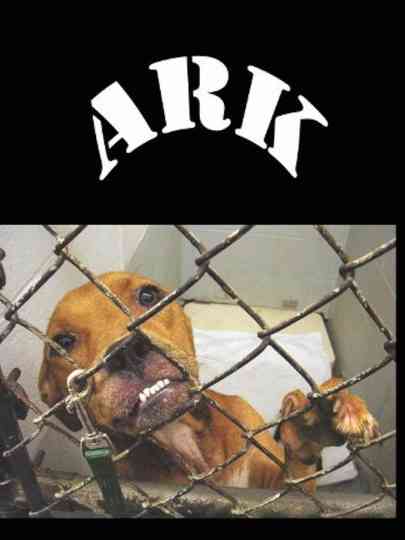 Animal Rescue Katrina Poster