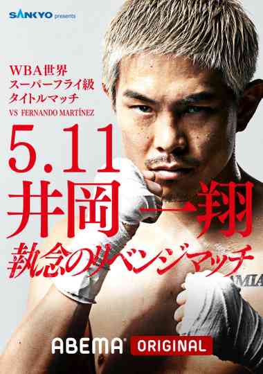 LIFETIME BOXING FIGHTS 27