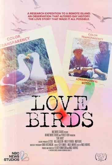 Love Birds
