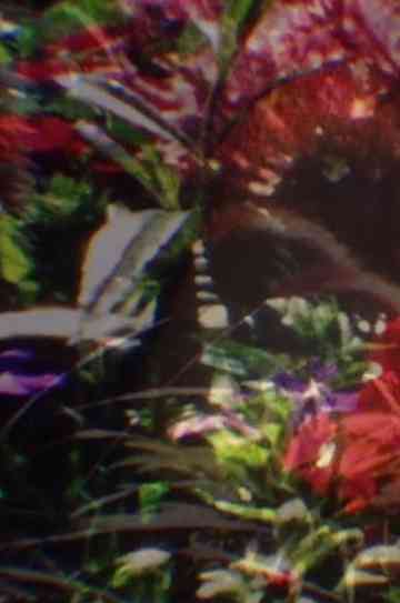 Return to Nature! The True Natural Method of Healing and Living and the True Salvation of the Soul: Paradise Regained—The Core of the Body—Water, Human Curative Power, Light, Air, Earth, Food, Fruit Culture Poster