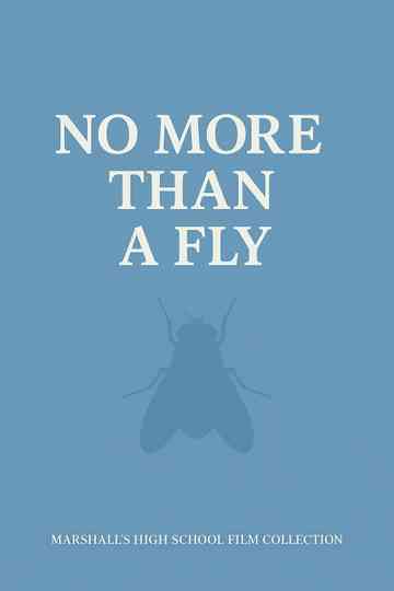 NO MORE THAN A FLY
