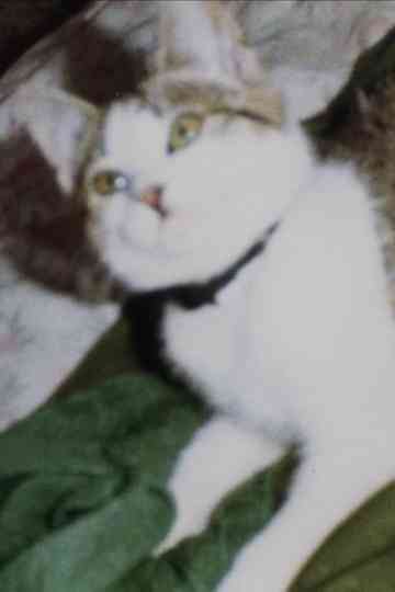 Clem