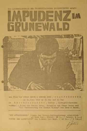 Impudence in Grunewald Poster