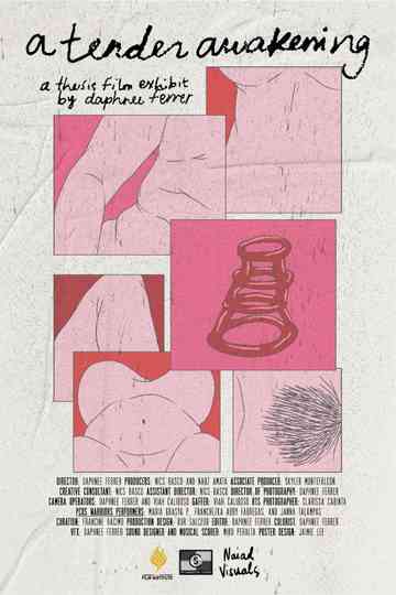 a tender awakening Poster