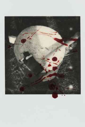 The Way Blood Flows