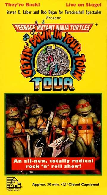 Teenage Mutant Ninja Turtles: Getting Down In Your Town Poster