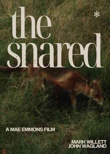 The Snared