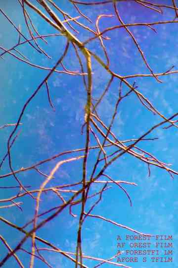 A Forest Film