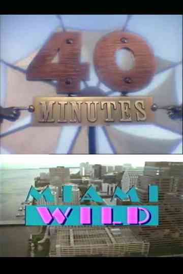 Miami Wild