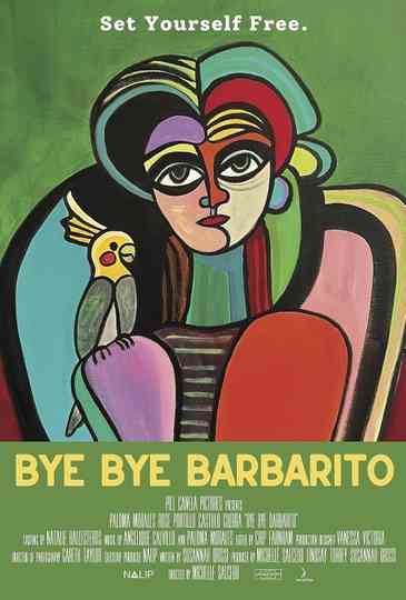 Bye Bye Barbarito poster