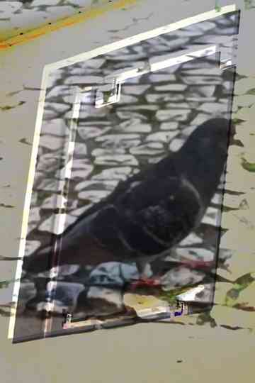 não tenho dormido muito mas continuo sonhando a cada piscada Poster