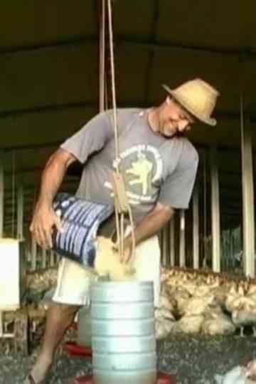 Do Canto ao Pio