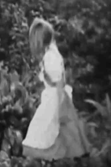 Alicia, Lewis Carroll y el tiempo Poster