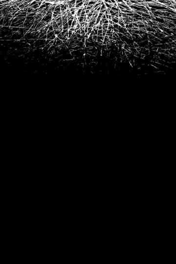 For When I Think, There is This Heaviness That I Would Rather You Not Carry Poster