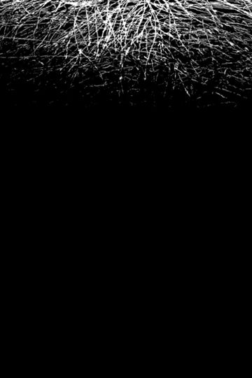 For When I Think, There is This Heaviness That I Would Rather You Not Carry