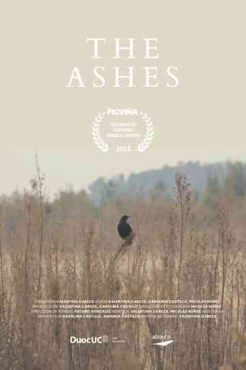 The Ashes poster