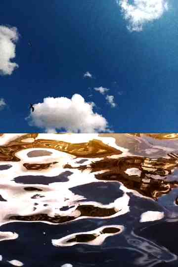 Landscape For Birds