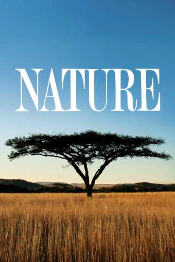 Nature Poster