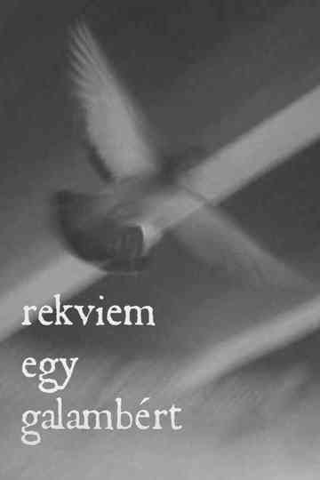 Rekviem egy galambért
