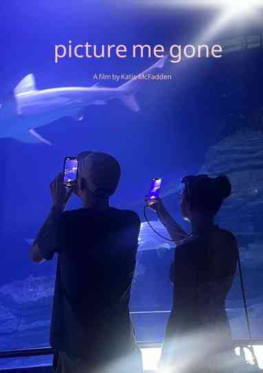 Picture Me Gone