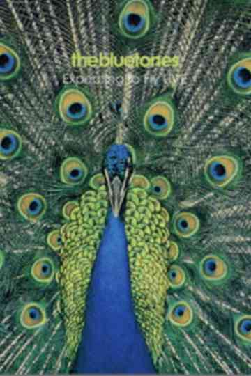 The Bluetones: Expecting To Fly Live Poster
