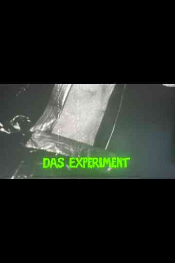 Das Experiment