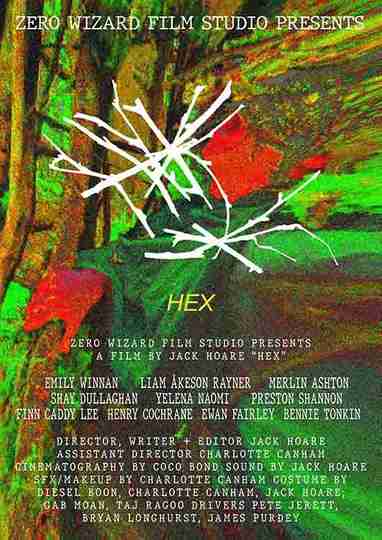 HEX Poster
