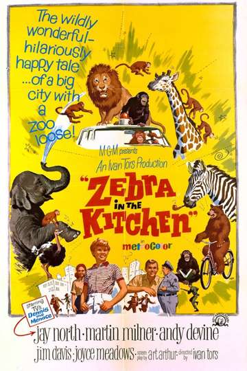 Zebra in the Kitchen Poster