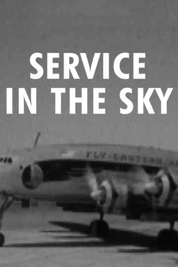 Eye Witness: Service in the Sky Poster