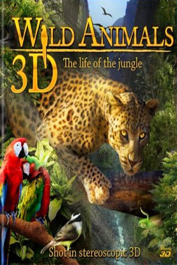 Wild Animals The Life of the Jungle