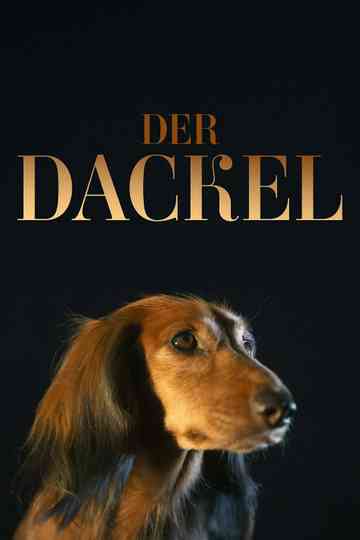 The Dachshund poster