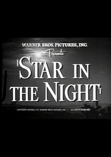 Star in the Night