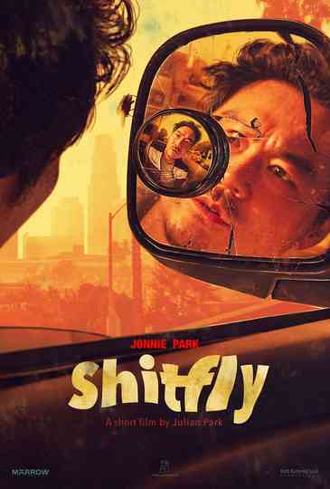 Shitfly Poster