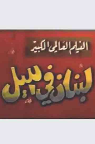 Lebanon at night Poster