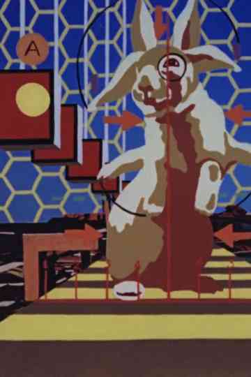 The Rabbit