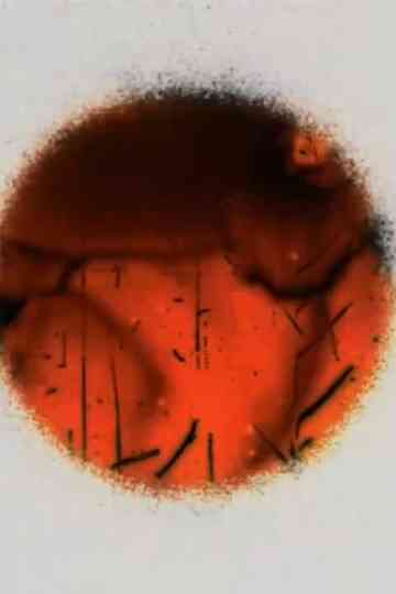 Cerclitudes II