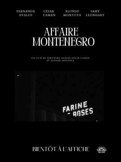 The Montenegro Affair