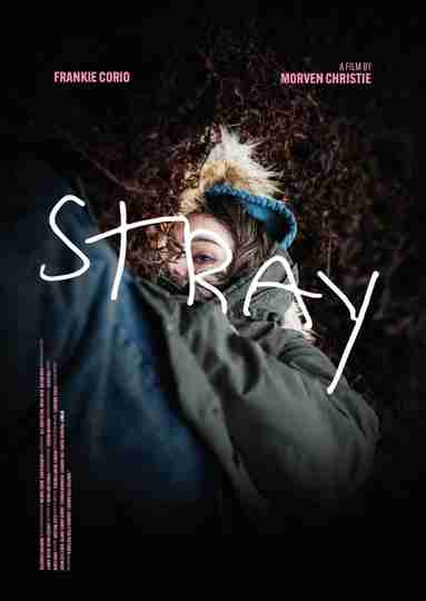 Stray Poster