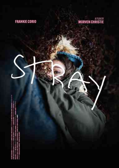 Stray Poster