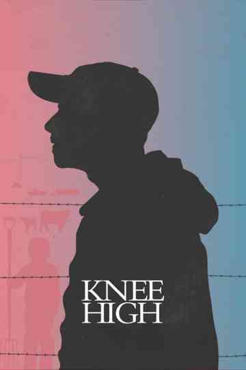 Knee High
