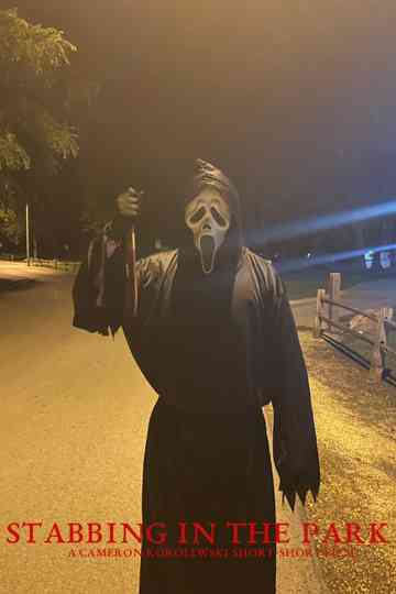 Stabbing in the park