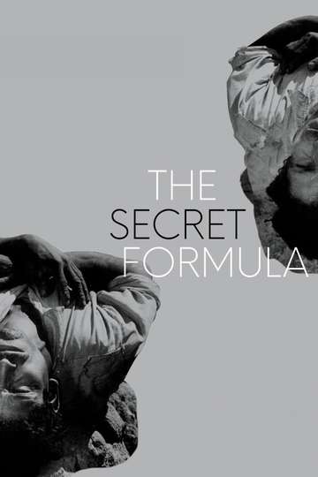 The Secret Formula Poster