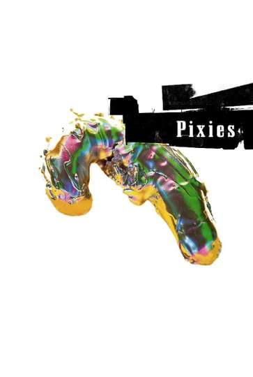 Pixies Live at The Town  Country